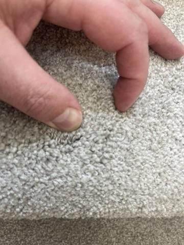 A hand checking the pile of a carpet