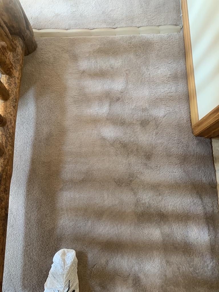 Matted traffic lanes in a light carpet hallway